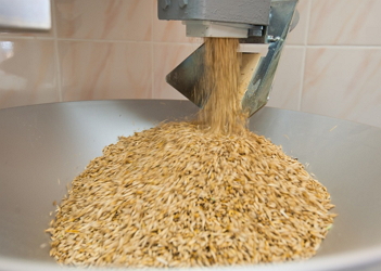 Єгипет оголосив тендер на закупівлю пшениці